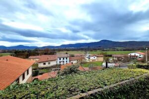 Hostal-Restaurante Virgala