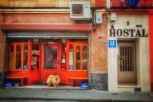 HOSTAL ROSALES