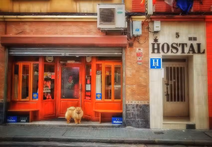 HOSTAL ROSALES