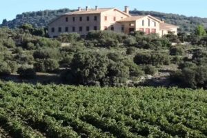 Hostal Rural El Sahuco