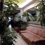 Hostal San Francisco