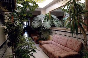 Hostal San Francisco