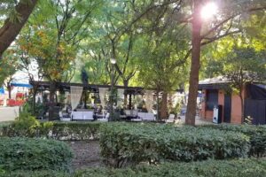 Hostel Sevilla &ndash; Lemon Garden