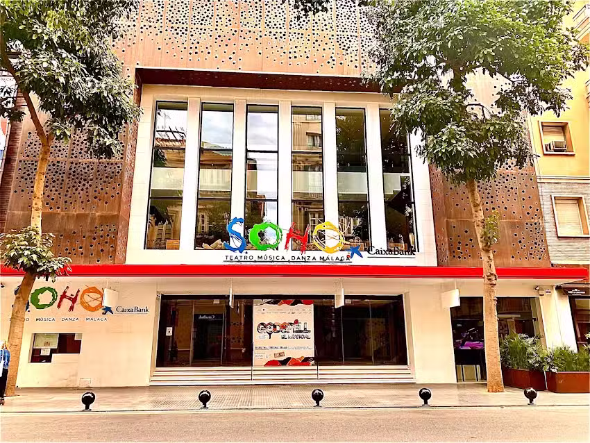 Hotel Alameda M&aacute;laga, in Soho