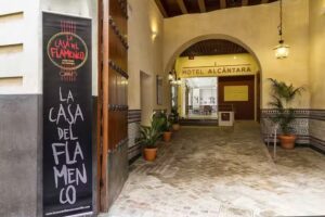 Hotel Alc&aacute;ntara