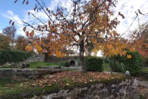 Hotel Apartamento 3 Lobitos