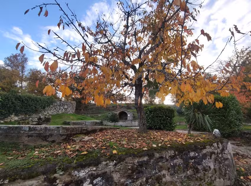 Hotel Apartamento 3 Lobitos