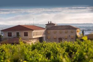 Hotel-Bodega Torremilanos | Ribera del Duero