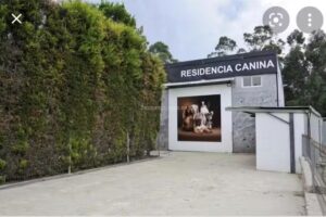 Hotel Canino A Raposeira 2