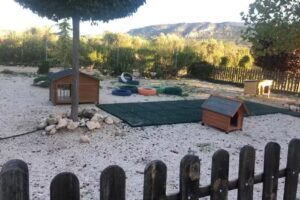 Hotel canino &laquo;La Lloma&raquo;