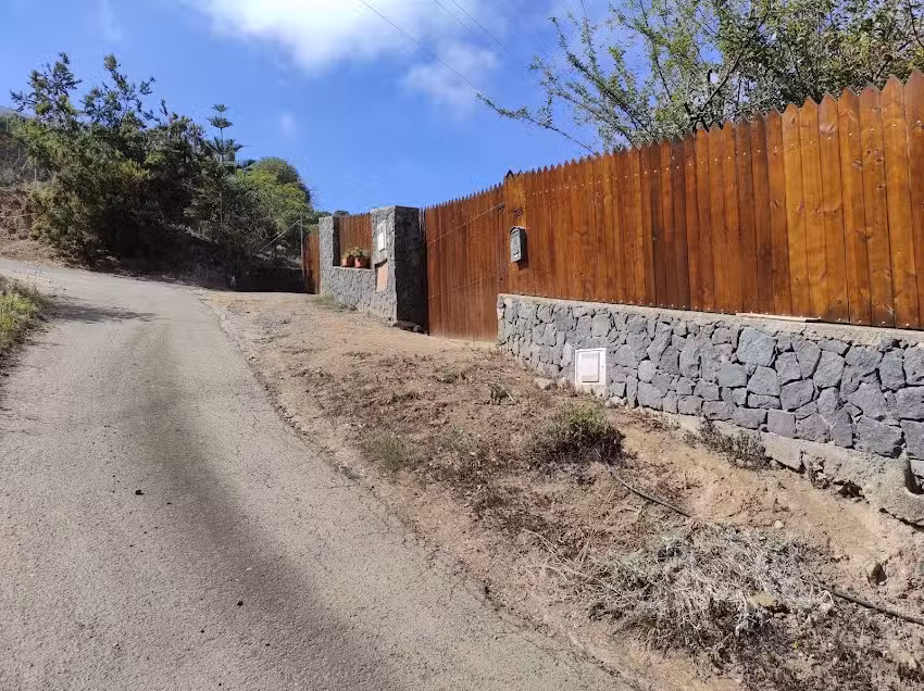 Hotel canino Nayedog