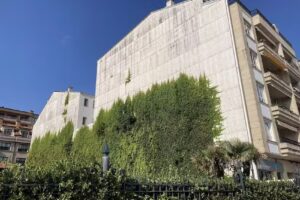 Hotel Faro Salaz&oacute;n