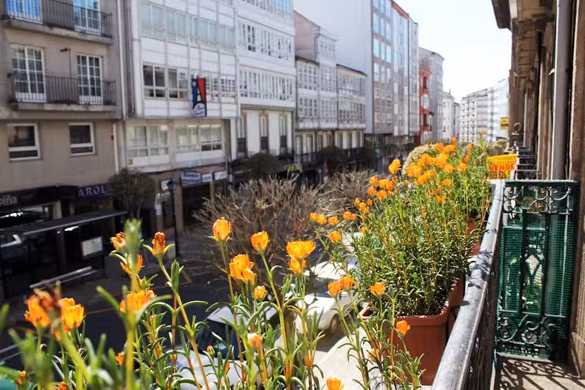 Hotel H&oacute;rreo by Bossh! Hotels