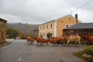 Hotel Rural Casa Rodil