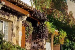 Hotel Rural El Palomar