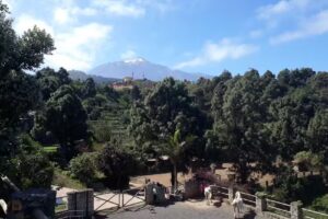 Hotel Rural Riendas Vivas.