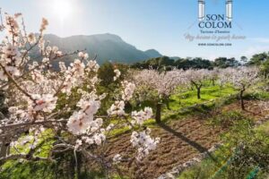 Hotel Son Colom Turismo de interior