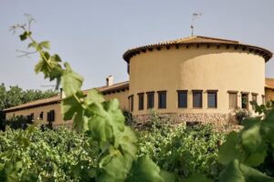 Hotel-Spa Enoturismo Mainetes
