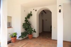 Hotel y Apartamentos El Coloso