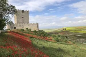 Hotel Zaravencia by Bossh! Hotels