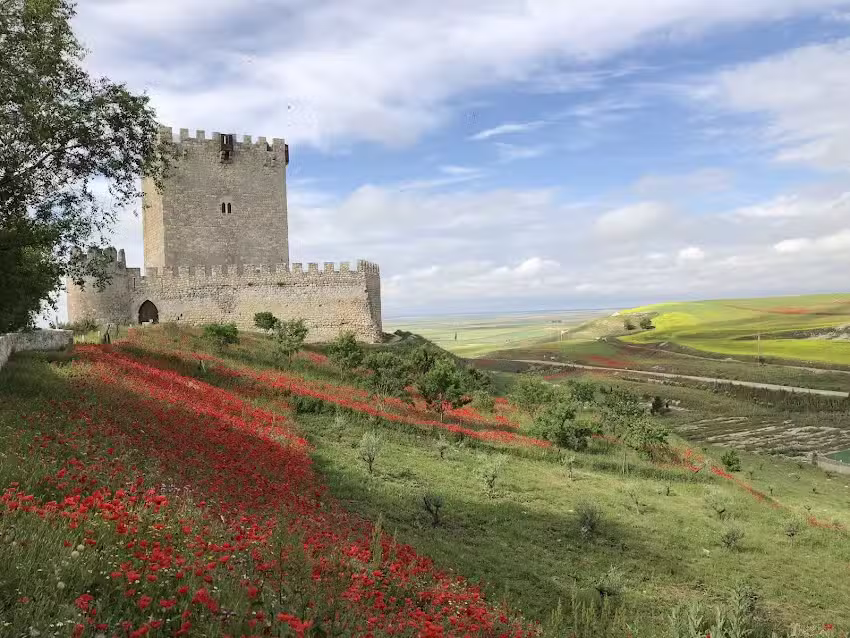 Hotel Zaravencia by Bossh! Hotels