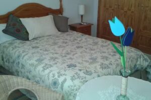 Hoteles de Rascafria