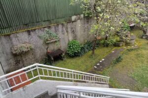 HYP &mdash; Houses by Pilar