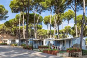 Interpals Eco Resort