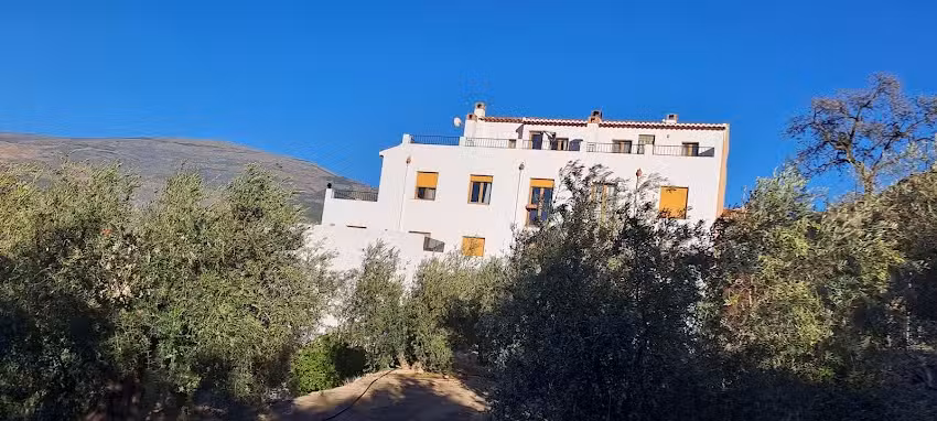 Jardines de Pinos del Valle