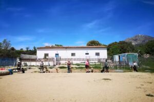 Julio Cano &ndash; Coach Canino