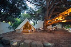 Kampaoh Los Ca&ntilde;os (Ca&ntilde;os de Meca)