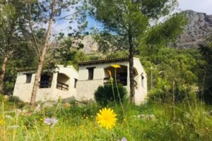 L&rsquo;Ovella Negra