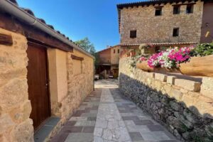 La Borda del Sal&iacute;