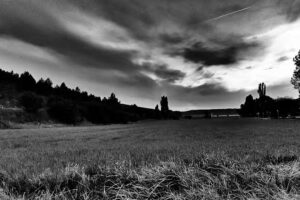 La Carpinter&iacute;a