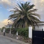 LA CASA DE LA PALMERA