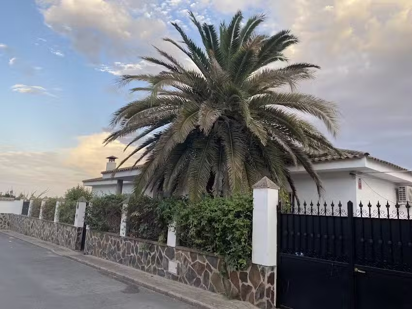 LA CASA DE LA PALMERA