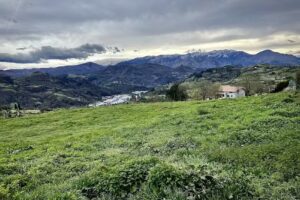 La Casa de Valdemora