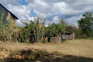 La Casa del Abuelo Juli&aacute;n