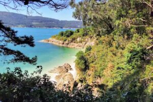 La casa del Magnolio