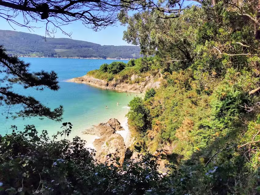 La casa del Magnolio