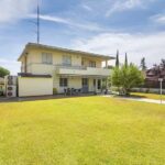 La casa del olivo en C&oacute;rdoba