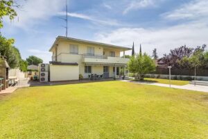 La casa del olivo en Córdoba