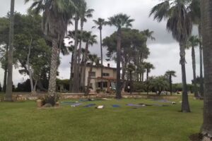 LA CASA DEL RIU VELL