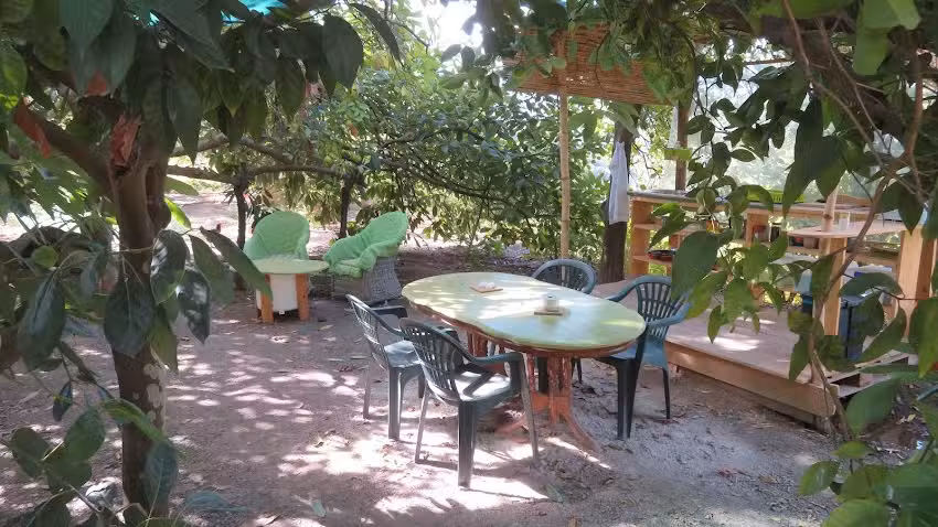 La Casa verde