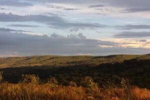La Casina de La Fuente