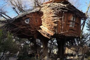 La Casita del &Aacute;rbol