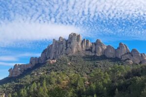 La Colmena De Montserrat