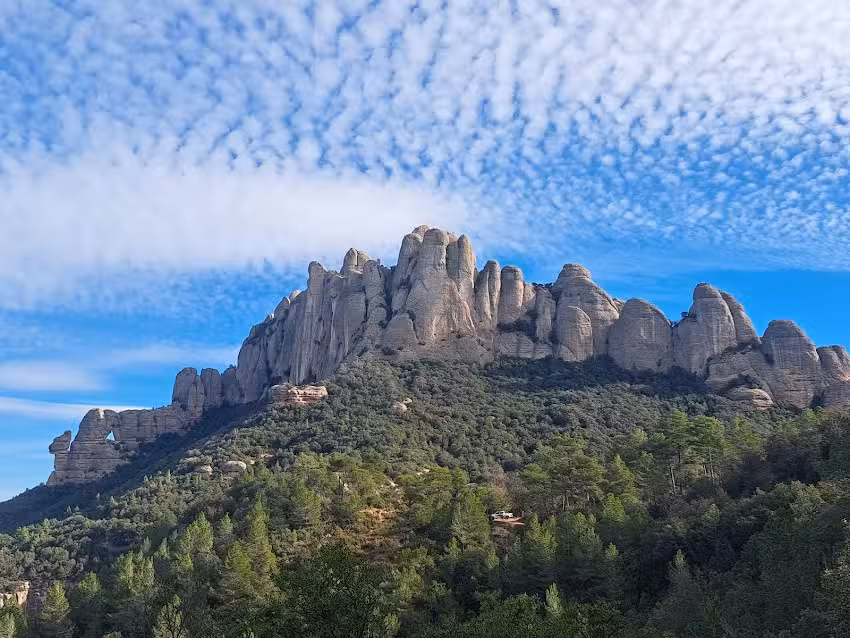 La Colmena De Montserrat