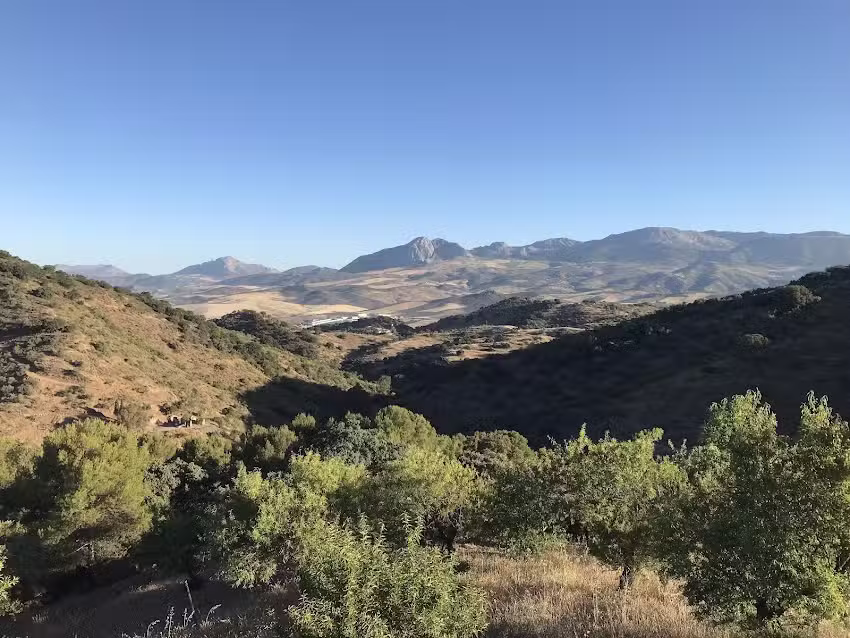 La Cuadra