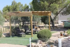 &ldquo;La Cuna de Dulcinea&rdquo;.